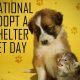 adopt-a-shelter-pet-day