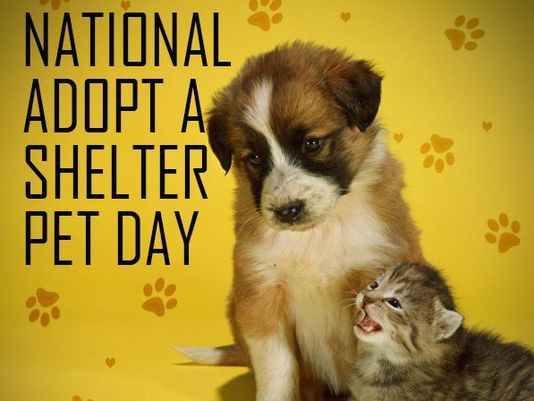 adopt-a-shelter-pet-day