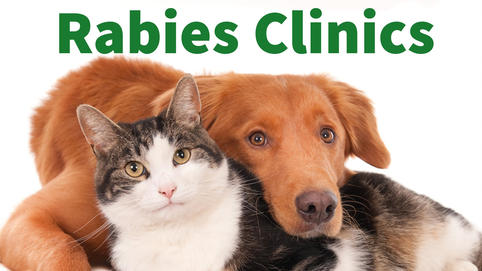 free-rabies-clinics