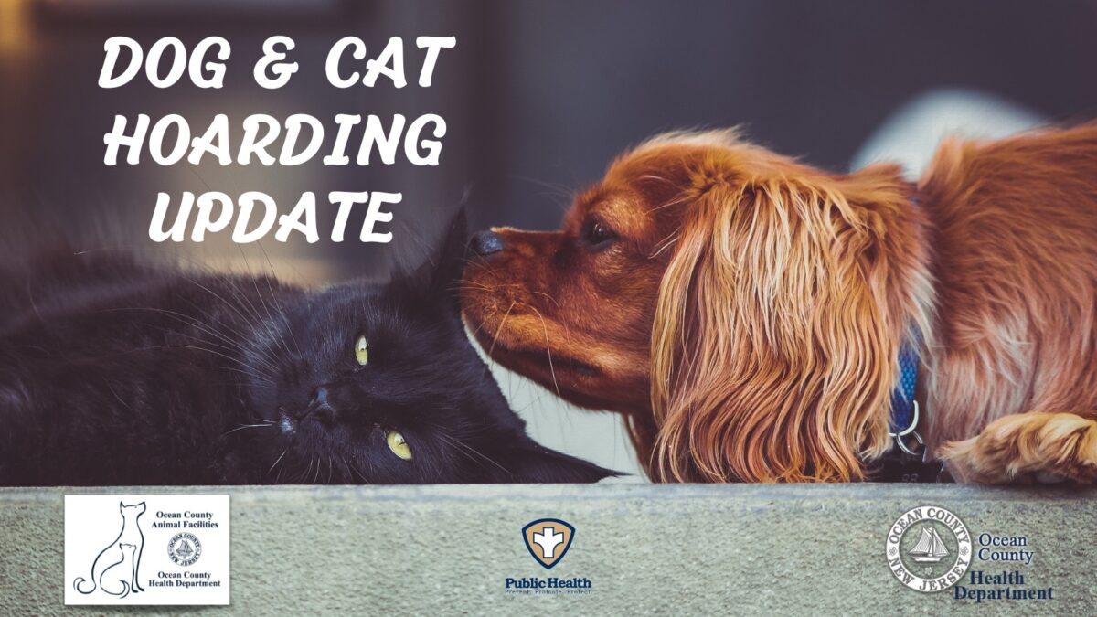 Dog and Cat Hoarding Update
