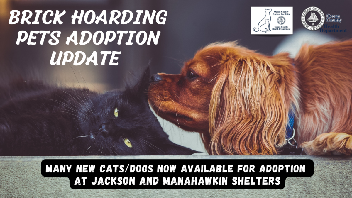 adoption update