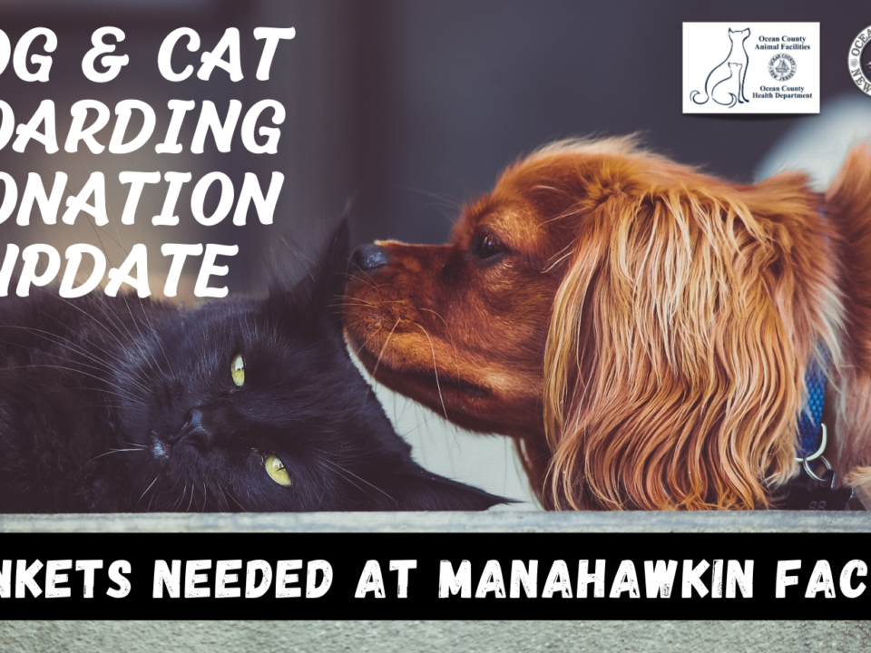 OCEAN COUNTY ANIMAL FACILITIES CAT & DOG HOARDING CASE DONATION UPDATE. BLANKETS URGENTLY NEEDED AT MANAHAWKIN SHELTER.