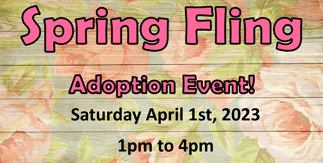 spring-fling-pet-adoption